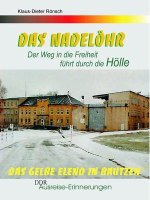 cover image of Das Nadelöhr